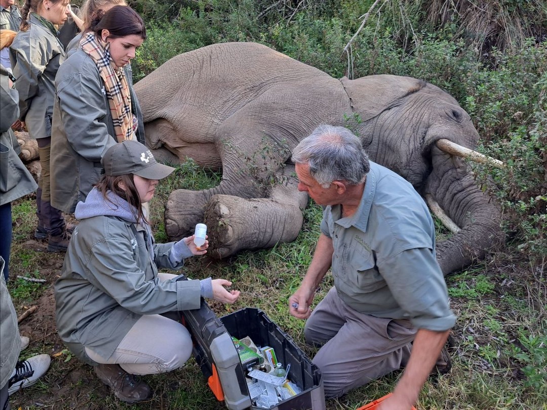 Rhino Health Monitoring